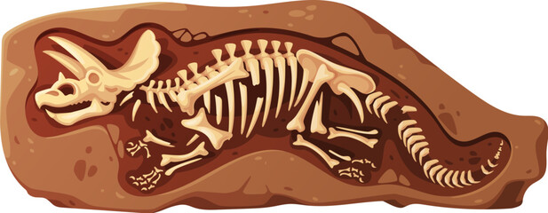 Dino fossil skeleton bones, full skeletal structure of triceratops dinosaur. Isolated cartoon vector reptile relics embedded in brown, rock. Ancient Jurassic era prehistoric lizard imprint in the soil © Buch&Bee