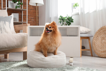 Cute Pomeranian dog on pouf near electric convector heater at home