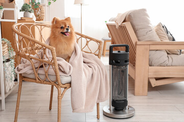 Cute Pomeranian dog with warm plaid in armchair near electric heater at home