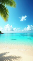 Palm tree on the beach with a blue sky