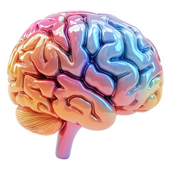 Colorful 3D brain model showcasing intricate patterns and vibrant hues isolated on a transparent background