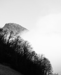 misty morning mist