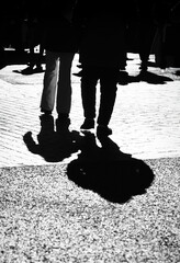 silhouettes of people walking in the snow