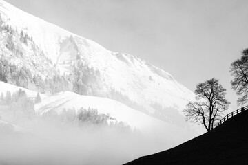 snow covered mountains