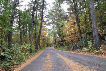 Autumn landscape with trees and lake near Interstate State Park in Taylors Falls, Minnesota. 