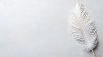 Obraz premium Delicate White Feather on Soft Beige Background, Minimalist Elegant Design for Nature and Serenity Projects