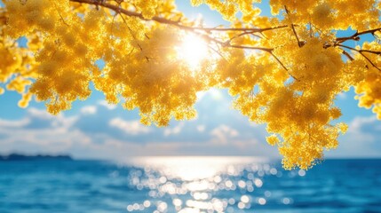 Golden mimosa flowers with sunlight overlooking a tranquil ocean view