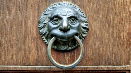 An ornate door knocker shaped like a lion's face with a round metallic ring held in its mouth, mounted on a wooden door. The design is detailed and antique in style.