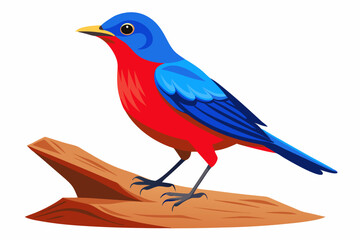 Blue Rock Thrush is standing on the log, isolated on a white background