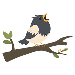 Cute bird. Cute flat vector illustration on white background. 
