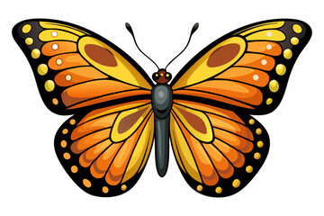  Beautiful butterfly isolated on white background vector art illustration