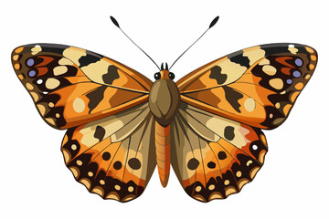  Beautiful butterfly isolated on white background vector art illustration