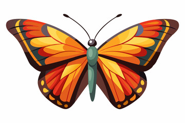  Beautiful butterfly isolated on white background vector art illustration