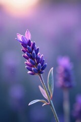 Obraz premium A sprig of lavender with glowing purple leaves , blooms, flowers, ethereal