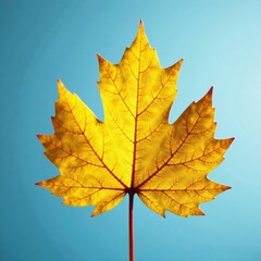 Obraz premium Golden leaf texture on a sunny flower, autumn leaf, shiny yellow gold foil texture