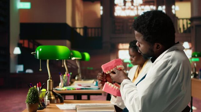 Black male student focusing on dental education studies oral hygiene and stomatology using a dummy human jaw. Young adult preparing for his dentistry exams in the university library. Camera A.