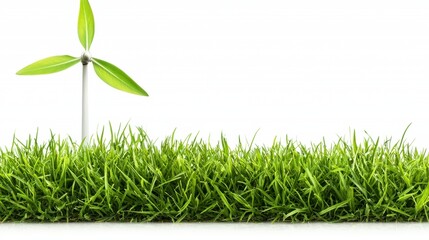 Obraz premium Single Green Seedling Growing In Lush Green Grass With Bright White Background