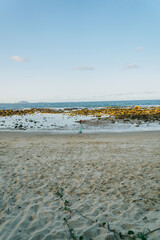 Rocks at Point Cartwright Beach with the lighthouse at Point Cartwright, Mooloolaba, QLD, Australia