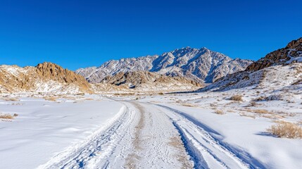 Winter Landscape With Snow-Covered Pathway And Majestic Mountains Under Clear Blue Sky