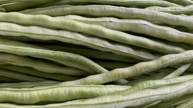 Close up organic Long bean texture background. tropical vegetables.