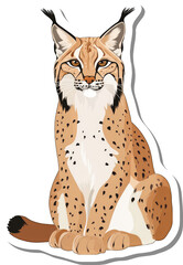 Fototapeta premium A Eurasian Lynx Sits Calmly Displaying Its Spotted Coat