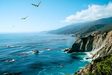 Delicious grilled lamb chops served on a bed of fresh arugula, accompanied by roasted potatoes and carrots, creating a delightful dinner setting.