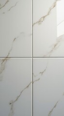 White tile with a brown vein on it