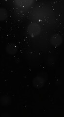 Obraz premium Araffes in the snow with a black background and a black background