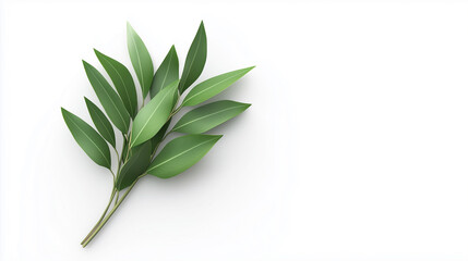 Fototapeta premium Fresh green leaves arranged beautifully on white background, showcasing nature elegance and simplicity.