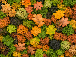 Autumn leaves texture background design