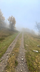 Fototapeta premium Foggy mountain road autumn landscape
