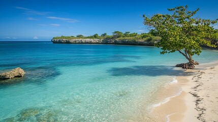 Serene beach with clear turquoise water and lush greenery.