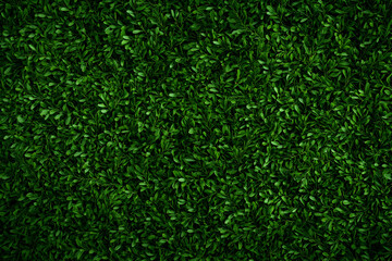 Lush green foliage wall background (1)