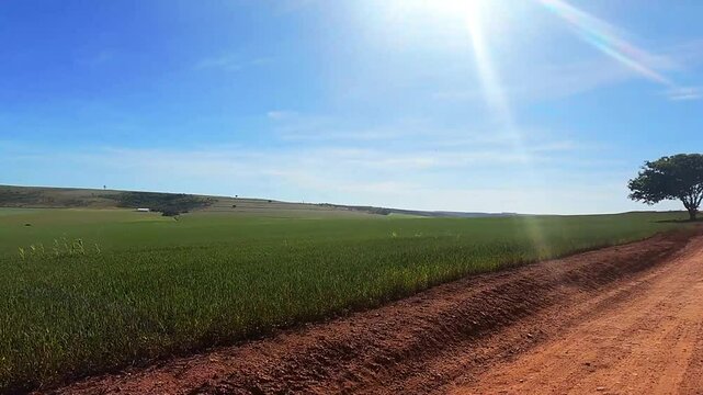 Dirigindo em estrada rural na cidade de S&atilde;o Jo&atilde;o D&rsquo;Alian&ccedil;a, regi&atilde;o da chapada dos Veadeiros, Estado de Goi&aacute;s, Brasil