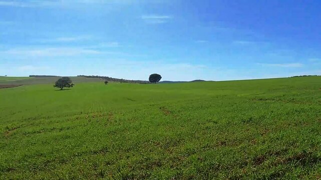 Dirigindo em estrada rural na cidade de S&atilde;o Jo&atilde;o D&rsquo;Alian&ccedil;a, regi&atilde;o da chapada dos Veadeiros, Estado de Goi&aacute;s, Brasil