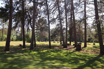 Obraz premium Monuments and graves in a cemetery in rural northern Minnesota