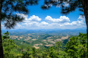 Mountain vista panoramic view, sunny day