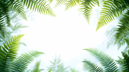 Lush Green Fern Leaves Framing Bright Ethereal Background