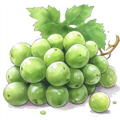 Obraz premium A bunch of green grapes with a leaf, isolated on a white background.
