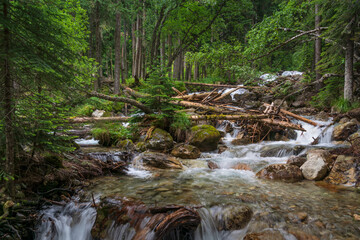 Fototapeta premium View of the waterfall on the Belaya River in the mountains of the North Caucasus near the village of Arkhyz on a sunny summer day, Karachay-Cherkessia, Russia
