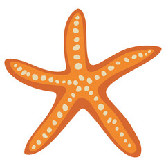 Starfish illustration animal invertebrate vector
