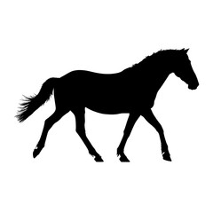 Fototapeta premium Wild horse walking silhouette illustration animal black vector