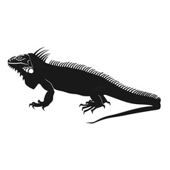 Fototapeta premium Iguana roaring walking iguana illustration silhouette vector