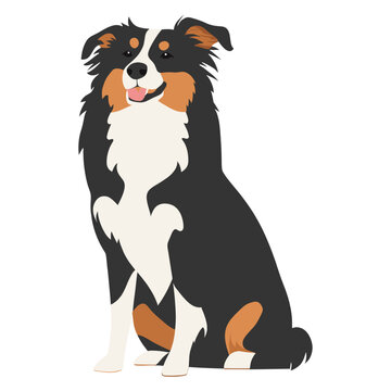 sitting australian shepherd dog black white clip art preview
