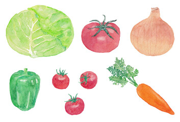 水彩で描いた野菜のイラスト