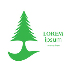 pine tree logo design in the afternoon