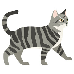 Grey Bengal cat walking illustration animal pet vector