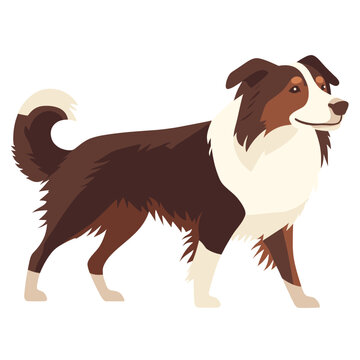 recommend clip art: Border Collie dog walking collie illustration animal vector