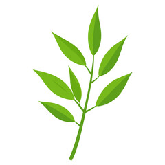 Fototapeta premium Green bamboo leaf illustration simple vector vector