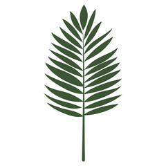 Green tropical palm leaf illustration minimalist botanical vector